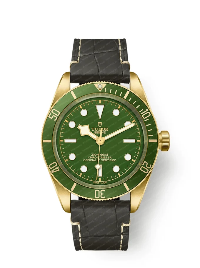 Tudor Black Bay 79018V-0001