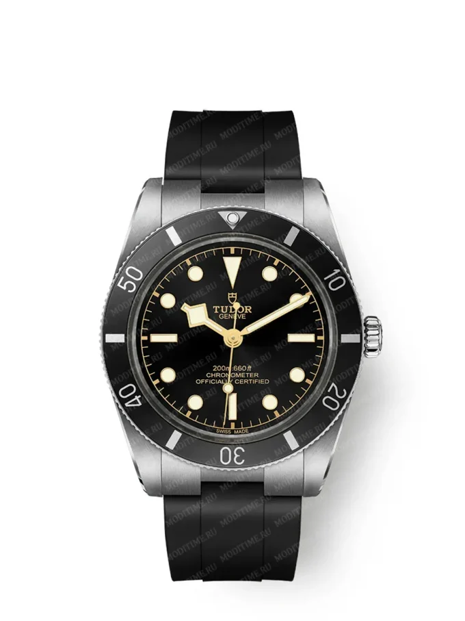 Tudor Black Bay 54 M79000N-0002