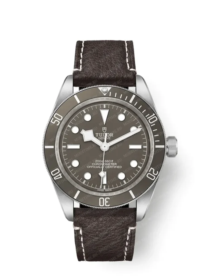 Tudor Black Bay 58 M79010sg-0001