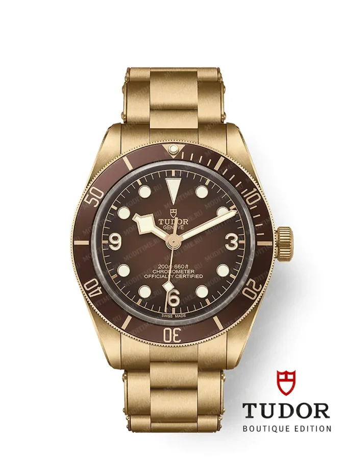 Tudor Black Bay 58 M79012M-0001