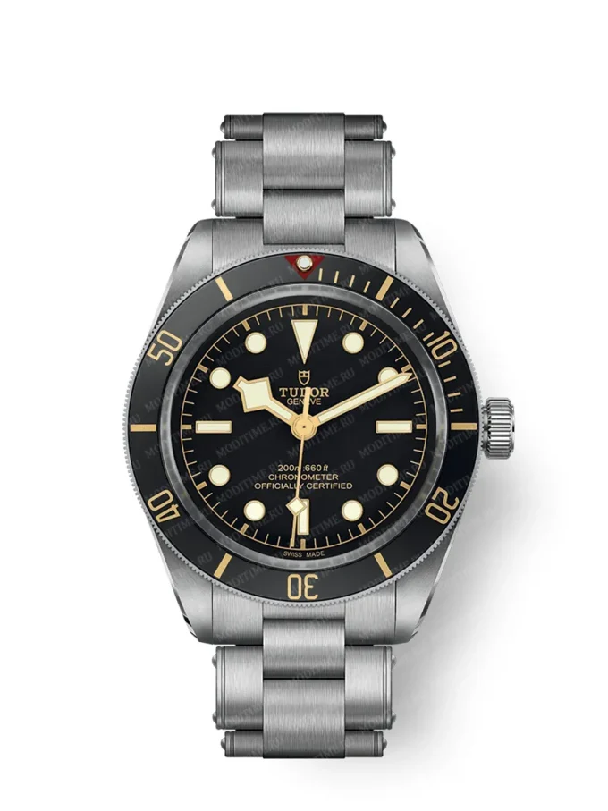 Tudor Black Bay 58 M79030N-0001