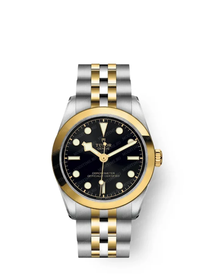 Tudor Black Bay 31/36/39/41 M79603-0001