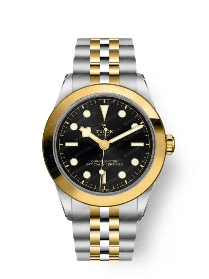 Tudor Black Bay 31/36/39/41 M79663-0001