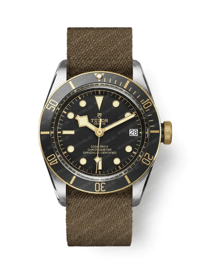 Tudor Black Bay M79733N-0005