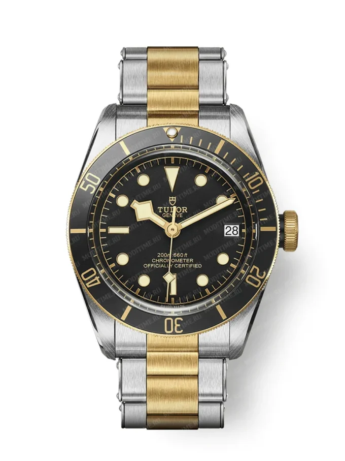 Tudor Black Bay M79733N-0008